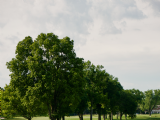 June 16, 2025 | 9th annual Celebrity Charity Golf Tournament