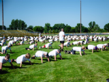 August 2, 2024 | 17th annual Day to REACH Football Camp