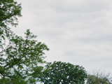 June 16, 2025 | 9th annual Celebrity Charity Golf Tournament